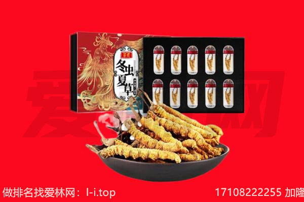 吕梁市柳林回收虫草.jpg